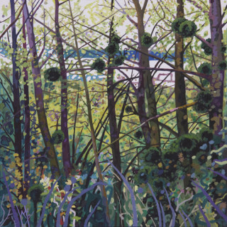 Arbustos y muérdago - Óleo sobre lienzo. 81-81 cm