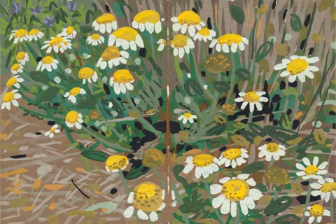 Gouache sobre papel. 27X20