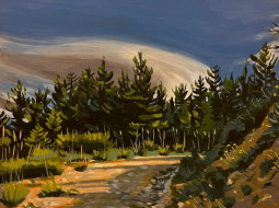 Valle de Egües 14 - Óleo sobre tabla. 35x27 cm. 250€